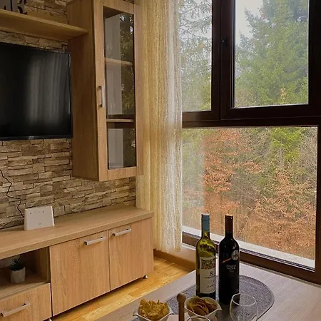 Apartment Alexandro Zlatibor