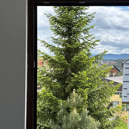 Alexandro Lejlighed Zlatibor