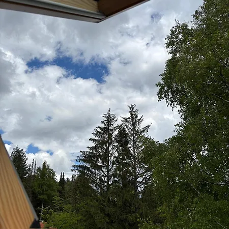 Alexandro Lejlighed *