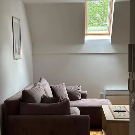 Appartamento Alexandro Zlatibor