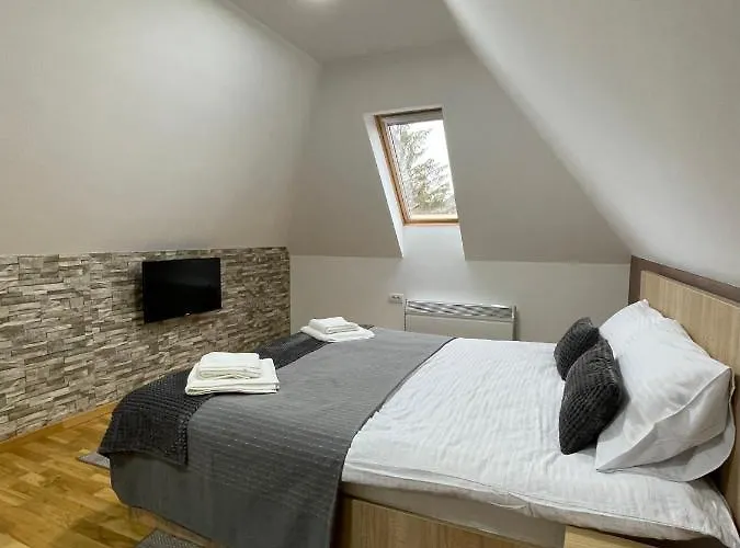 Alexandro 兹拉蒂博尔