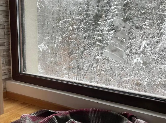 Alexandro * 兹拉蒂博尔