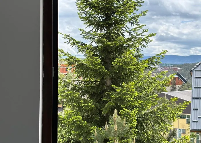 Alexandro 公寓 兹拉蒂博尔