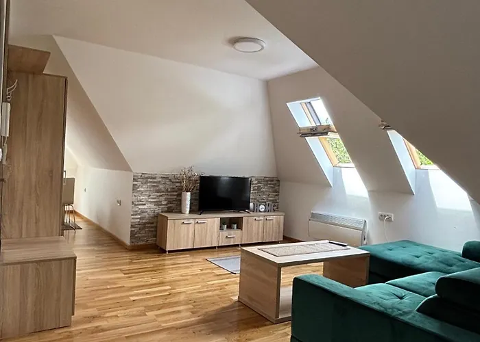 Alexandro 公寓 兹拉蒂博尔