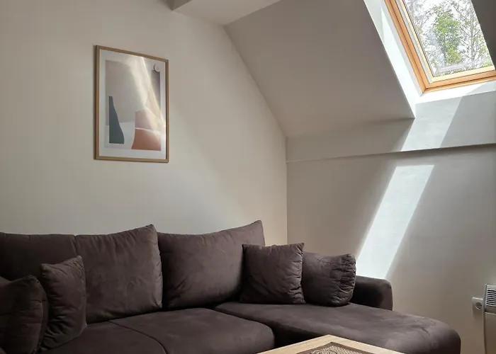 Alexandro * 兹拉蒂博尔