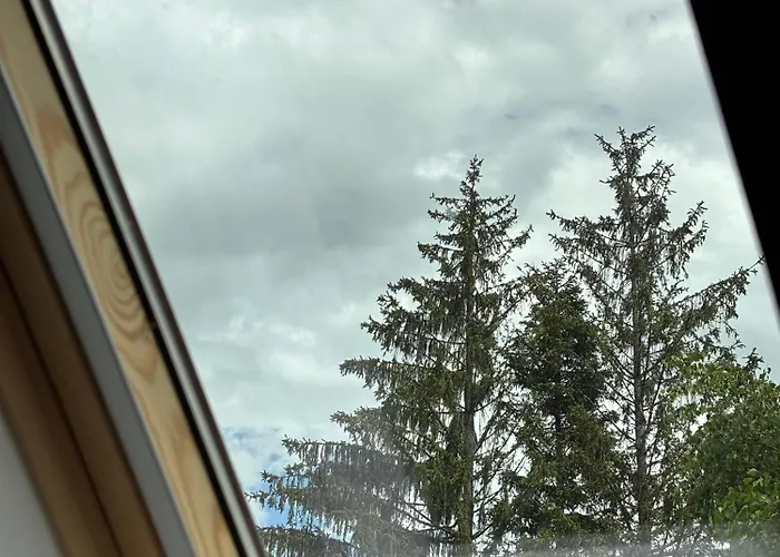 Alexandro 兹拉蒂博尔