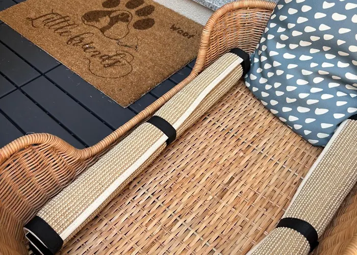 Alexandro * 兹拉蒂博尔